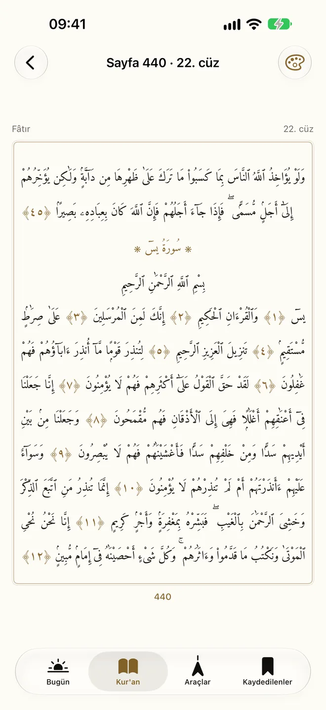 Mushaf sayfası görünümü
